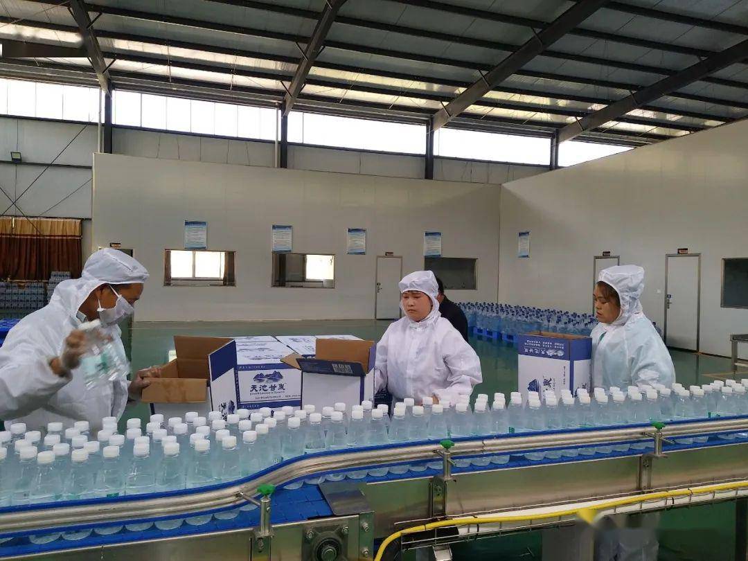 翱翔在脱贫攻坚路上的领头雁——文县任和农副产品董事长任付全侧记